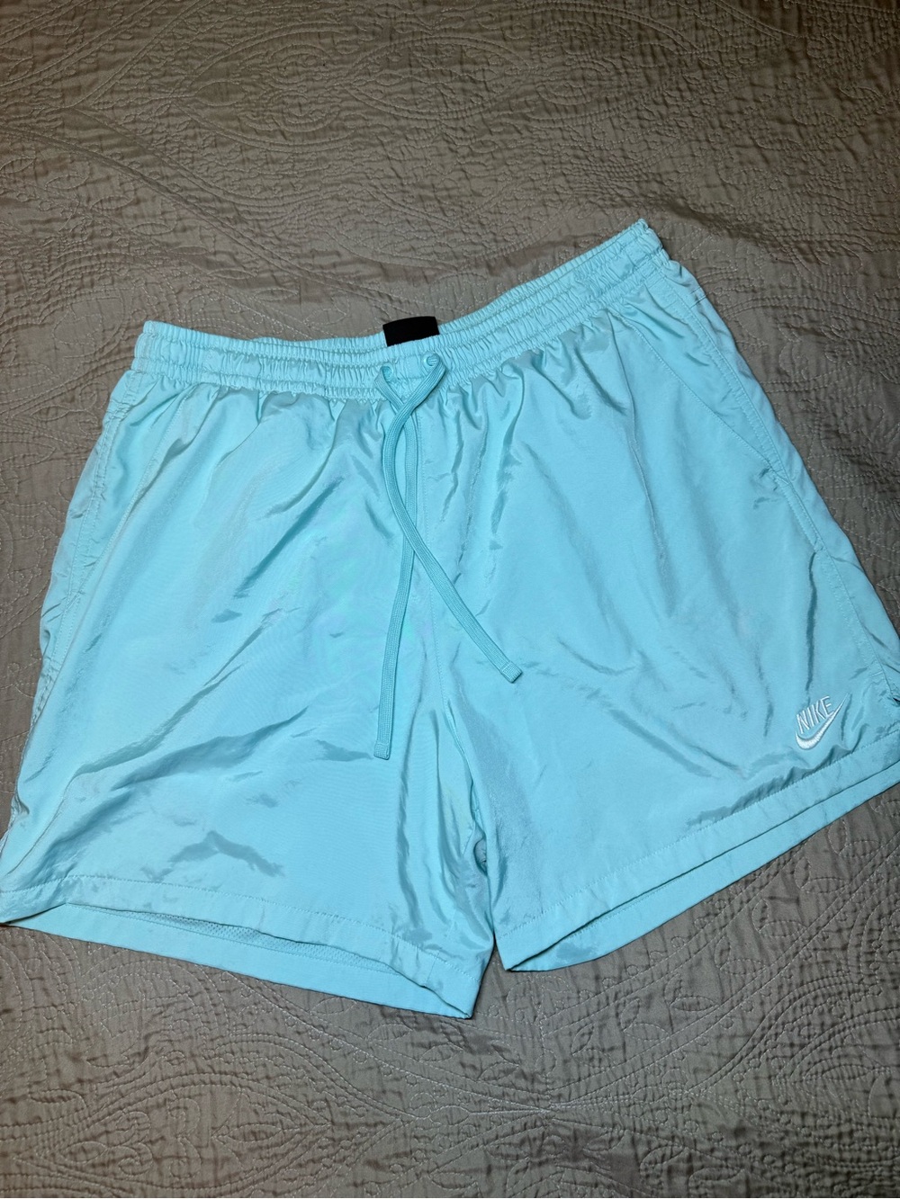 Nike Men Aqua Drawstring Athletic Shorts